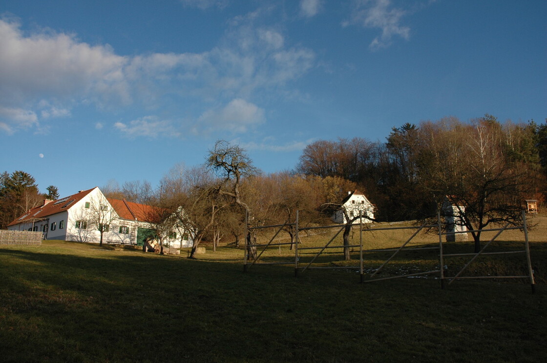 Ein Foto von Oskar Beer