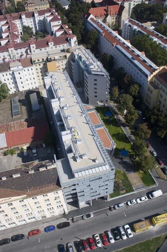 Ein Foto von Nicole Tintera