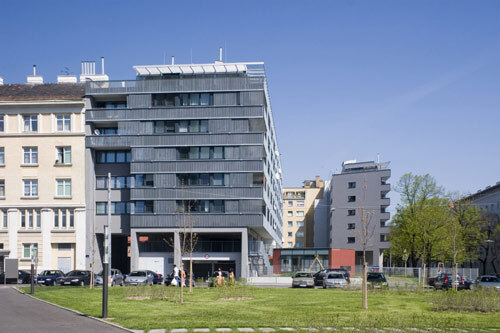 Ein Foto von Nicole Tintera