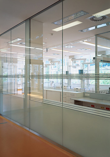 Ein Foto von Rupert Steiner