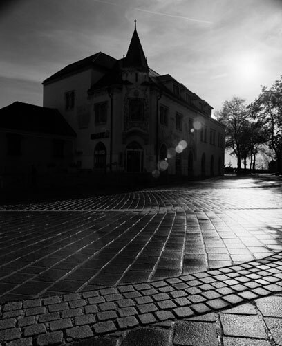 Ein Foto von Dietmar Tollerian