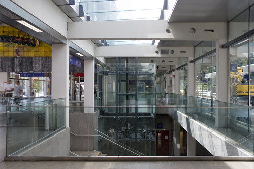 Ein Foto von Nicole Tintera