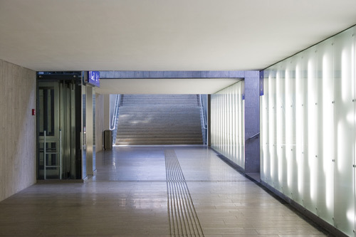 Ein Foto von Nicole Tintera