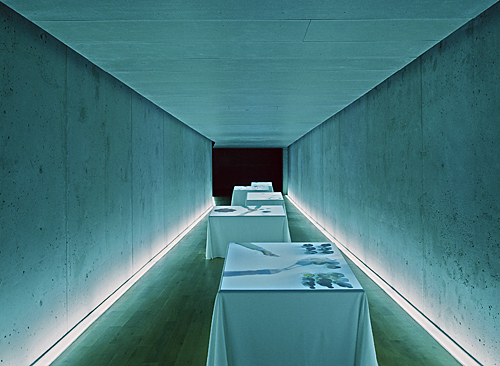 Ein Foto von Andreas Buchberger