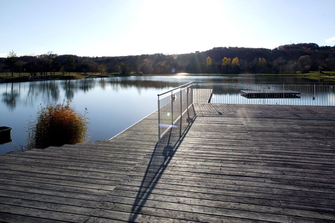 Ein Foto von Robert Illemann