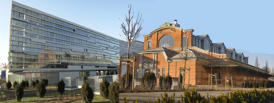 Ein Foto von Ferenc Schüller