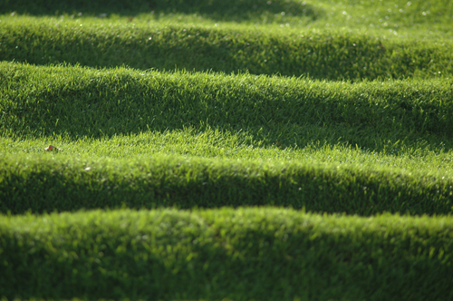 Ein Foto von Jakob Fina