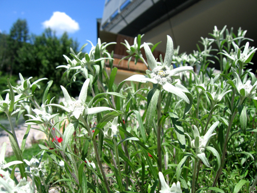 Ein Foto von Neubert & Fuchs