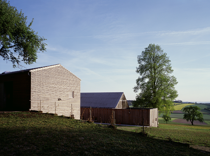 Ein Foto von Dietmar Tollerian