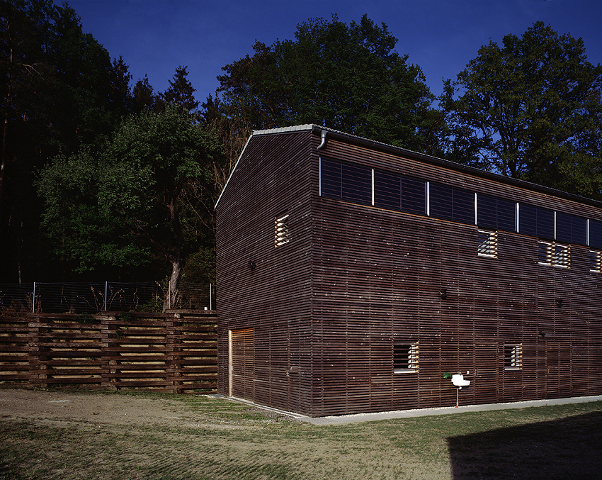 Ein Foto von Dietmar Tollerian