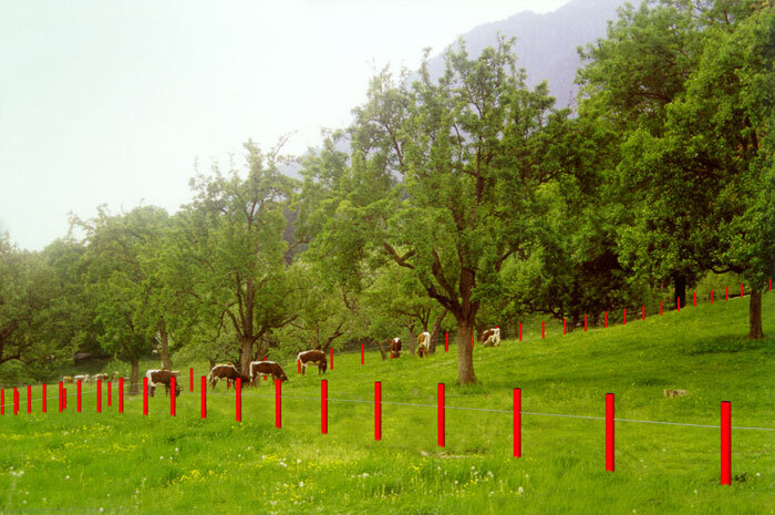 Ein Foto von Manfred Zernig