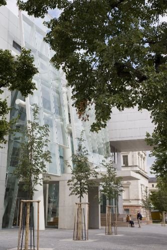 Ein Foto von Nathan Willock