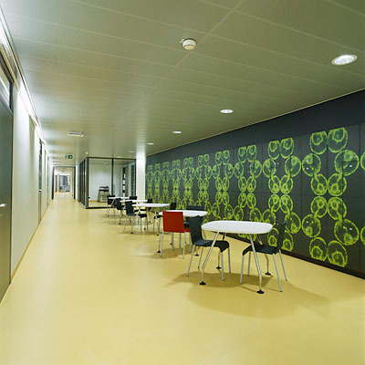 Ein Foto von Paul Ott