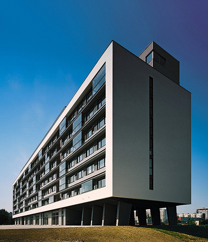 Ein Foto von Paul Safko