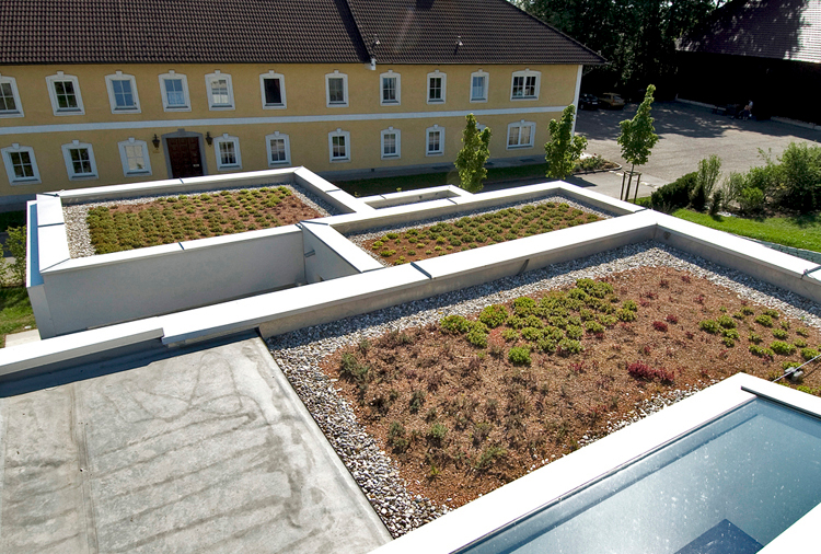 Ein Foto von Markus Lobmaier