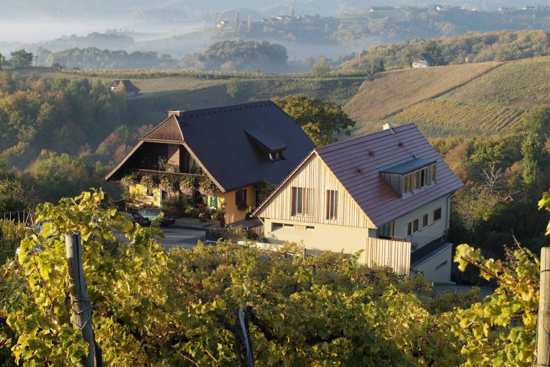 Ein Foto von Stefan Müller-Naumann