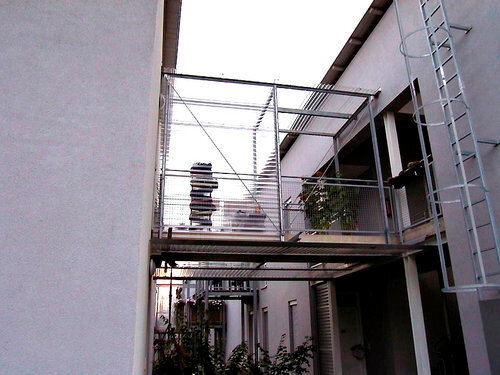 Ein Foto von Friedrich Wiesenhofer