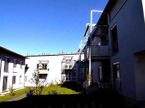 Ein Foto von Friedrich Wiesenhofer