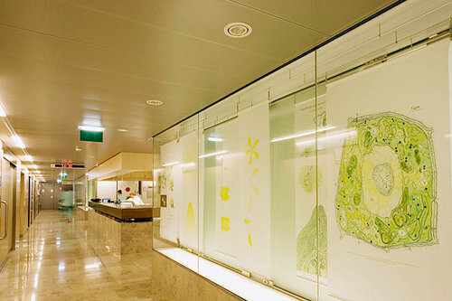 Ein Foto von Paul Ott