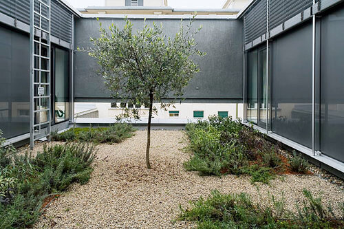 Ein Foto von Paul Ott