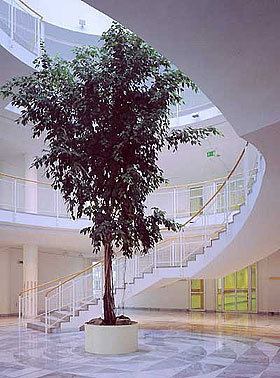 Ein Foto von Gerald Zugmann