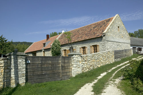 Ein Foto von Tamás Bujnovszky