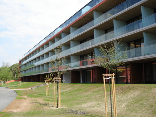 Ein Foto von MCXVI Architects