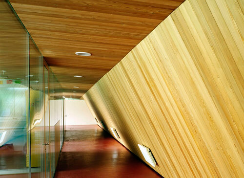 Ein Foto von Lukas Schaller