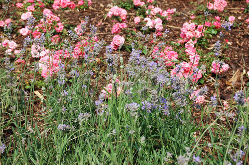 Ein Foto von Bernard und Sattler