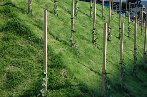 Ein Foto von Bernard und Sattler