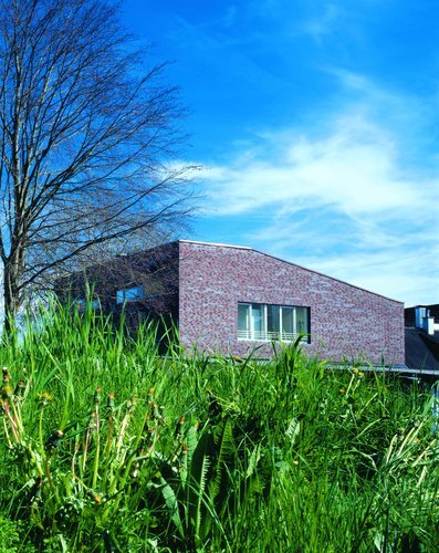 Ein Foto von Brigida Gonzalez