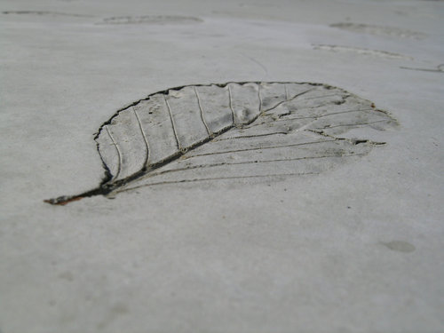 Ein Foto von Markus Doleschal