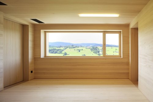 Ein Foto von Ivo Vögel