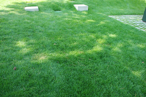 Ein Foto von sammerstreeruwitz