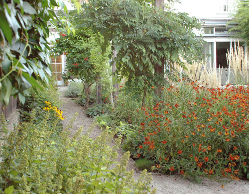 Ein Foto von Sophie Meingassner