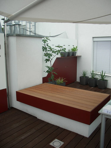 Ein Foto von Dominik Scheuch