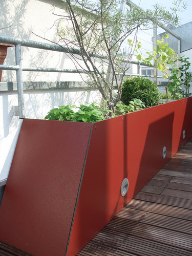 Ein Foto von Dominik Scheuch