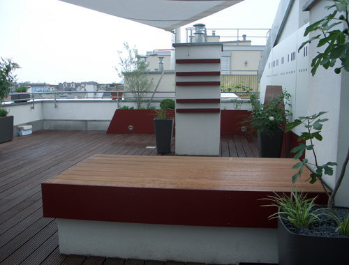 Ein Foto von Dominik Scheuch