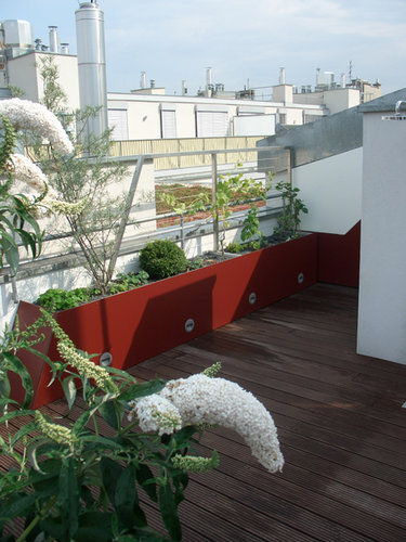 Ein Foto von Dominik Scheuch