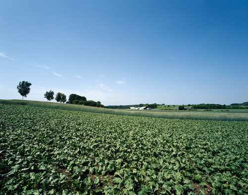 Ein Foto von Bruno Klomfar