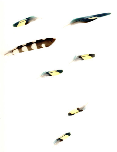 Ein Schaubild von Tamás Nagy