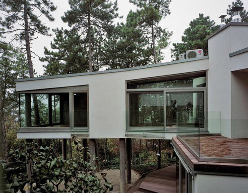 Ein Foto von Zoltán Brezina