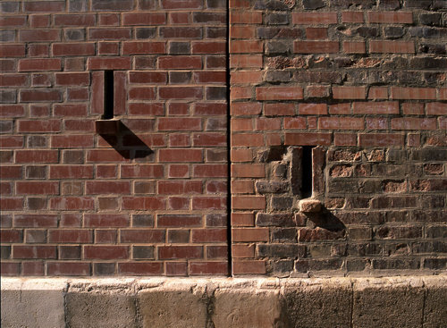 Ein Foto von Andrea Häider