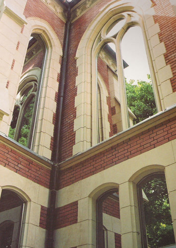 Ein Foto von Ferdinand Neumüller