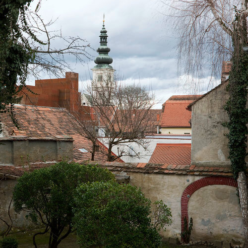 Ein Foto von Paul Ott