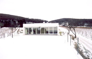 Ein Foto von Peter Jakadofsky