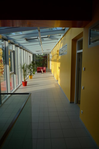 Ein Foto von Hannes Toifel