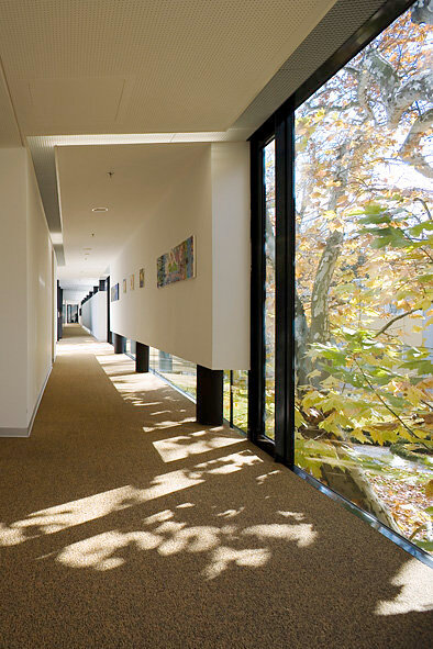 Ein Foto von Paul Ott