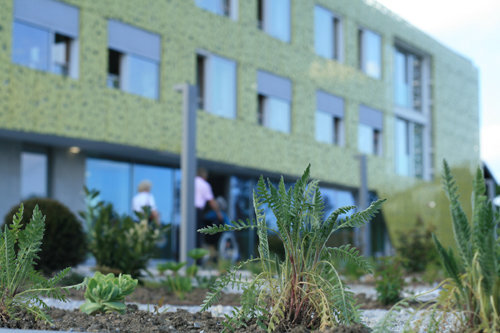 Ein Foto von Foto Neumayr