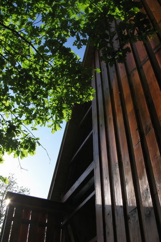 Ein Foto von Gábor Sajtos